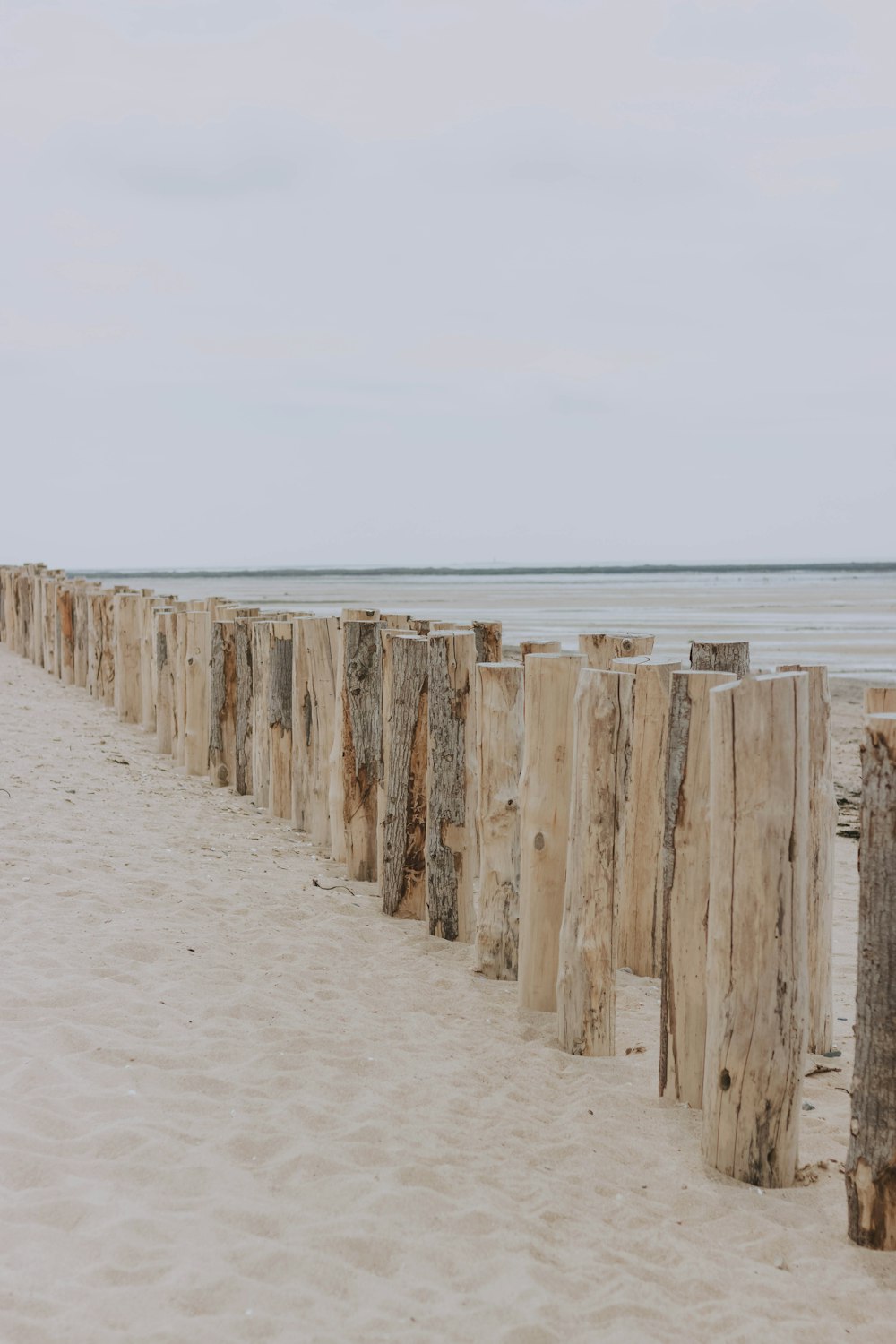 pile of logs on shore