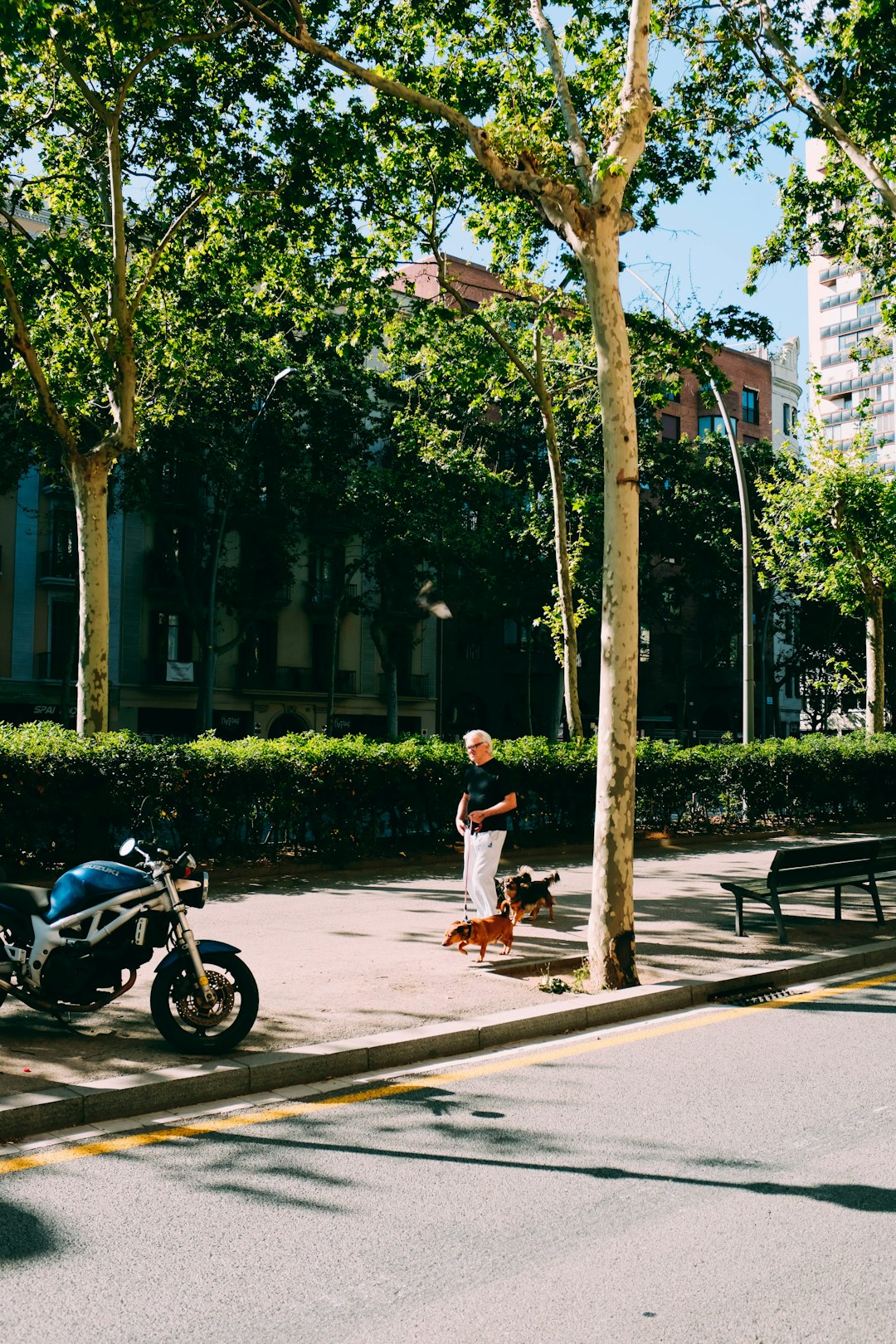 man standing beside tree during daytime