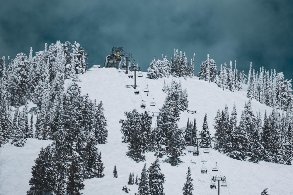 snow covered mountain