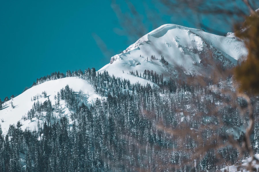Wyoming and Montana ski region