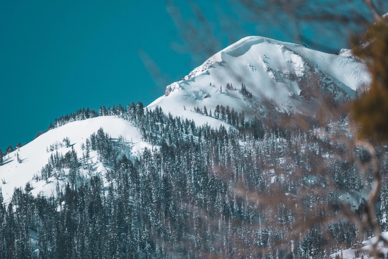Jackson Hole mountain in winter