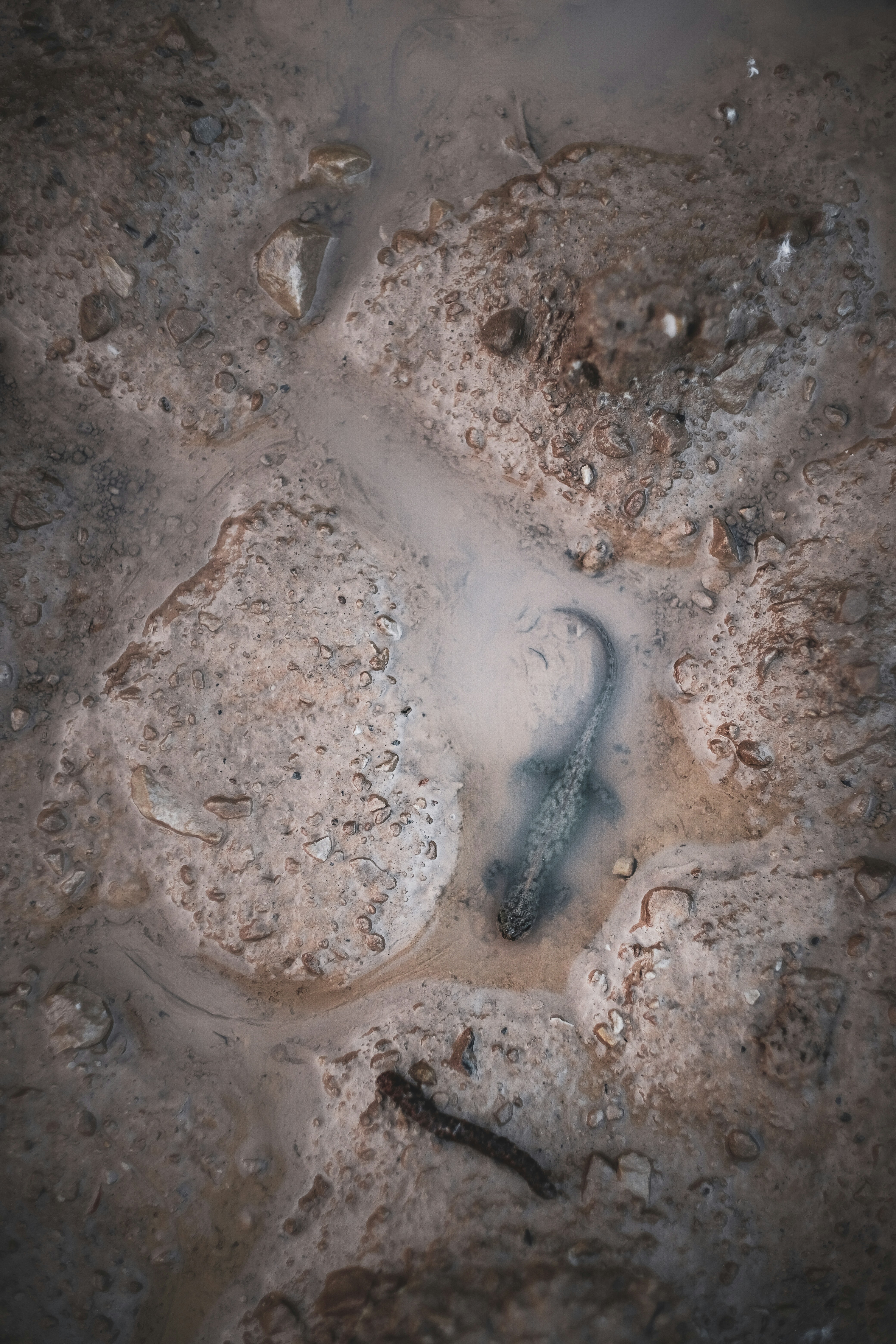 Photo by christiankrull