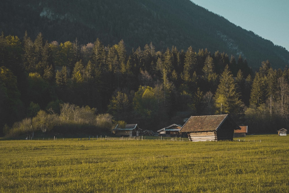 brown wooden house beside trees