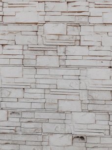 Textured limestone blocks forming a charming stone wall in a backyard.