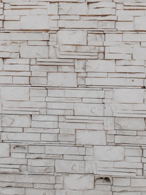 Textured limestone blocks forming a charming stone wall in a backyard.