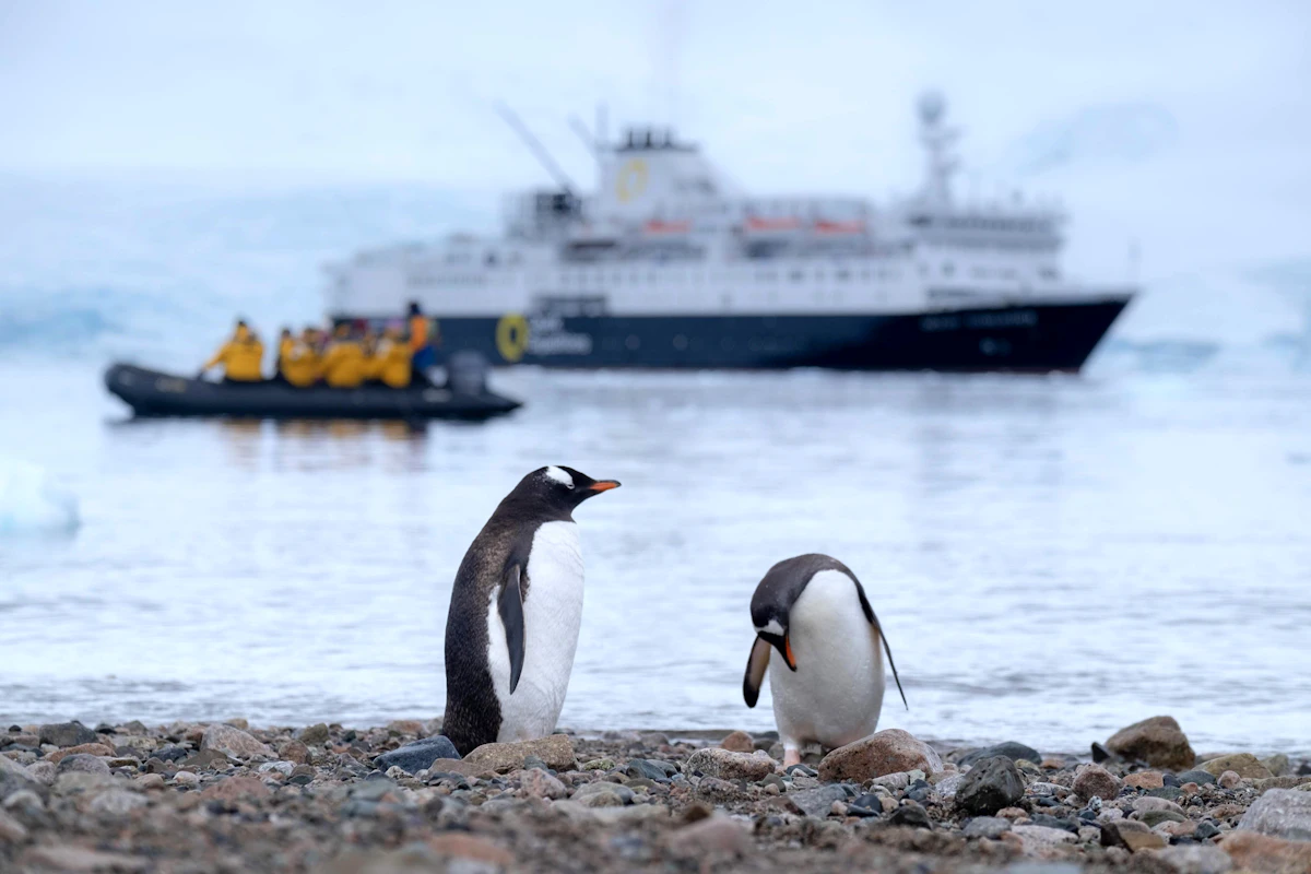 Expedition ship among icebergs in Antarctica