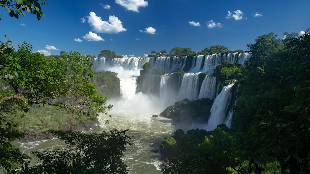 trees beside waterfalls