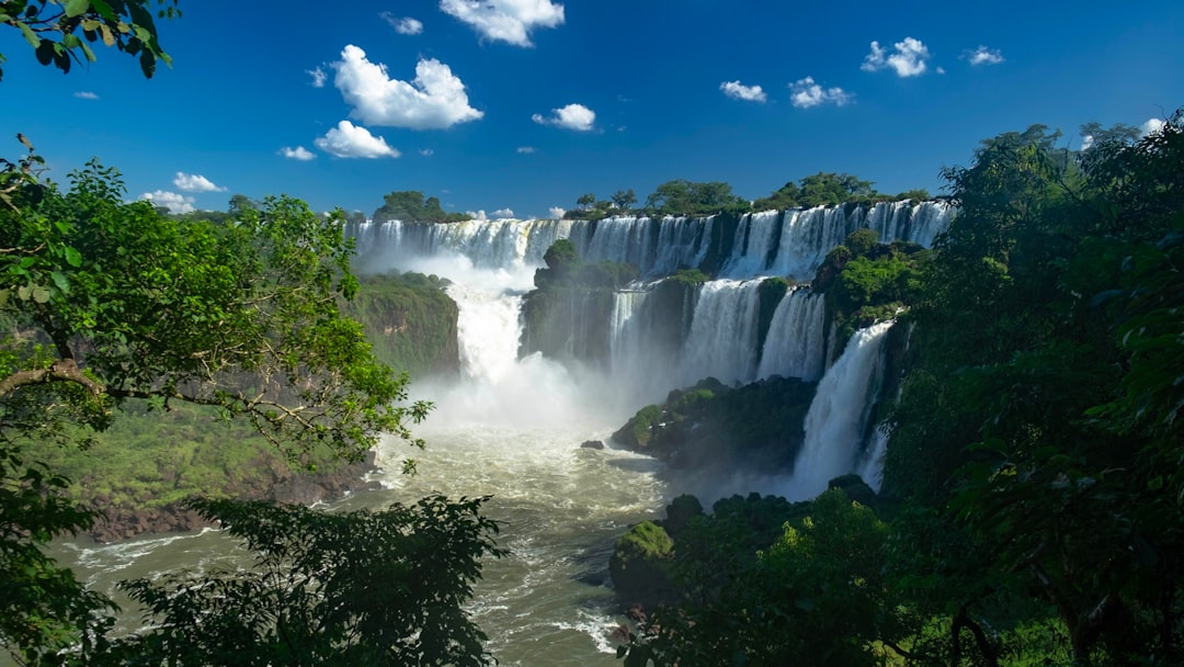 trees beside waterfalls