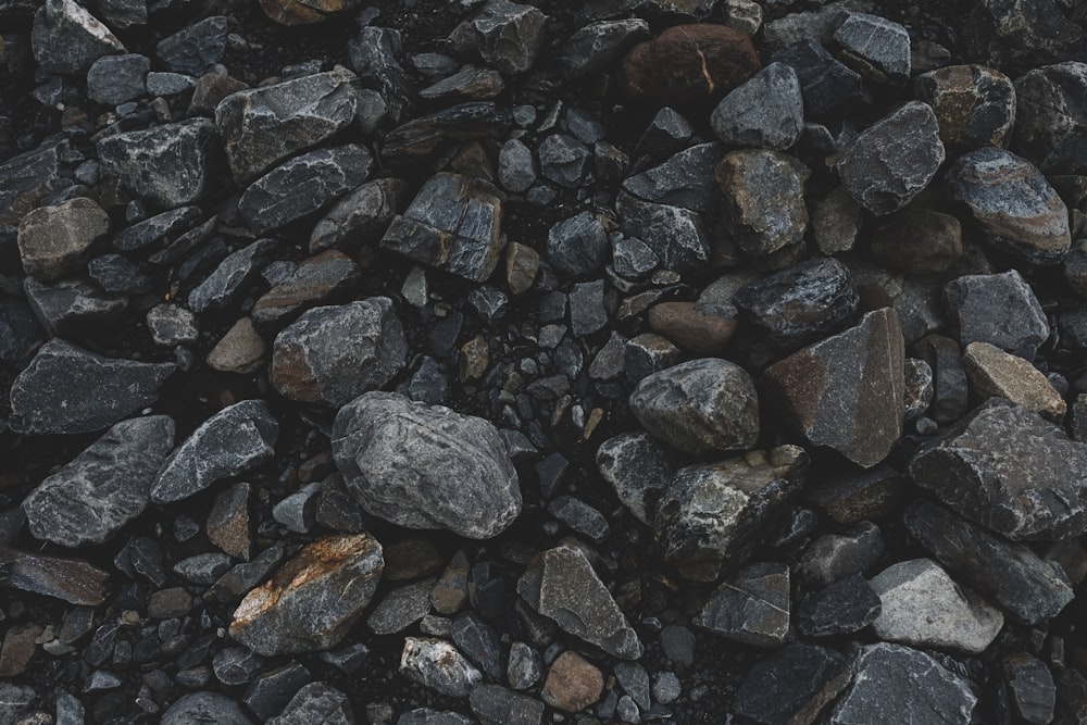 black rocks on ground