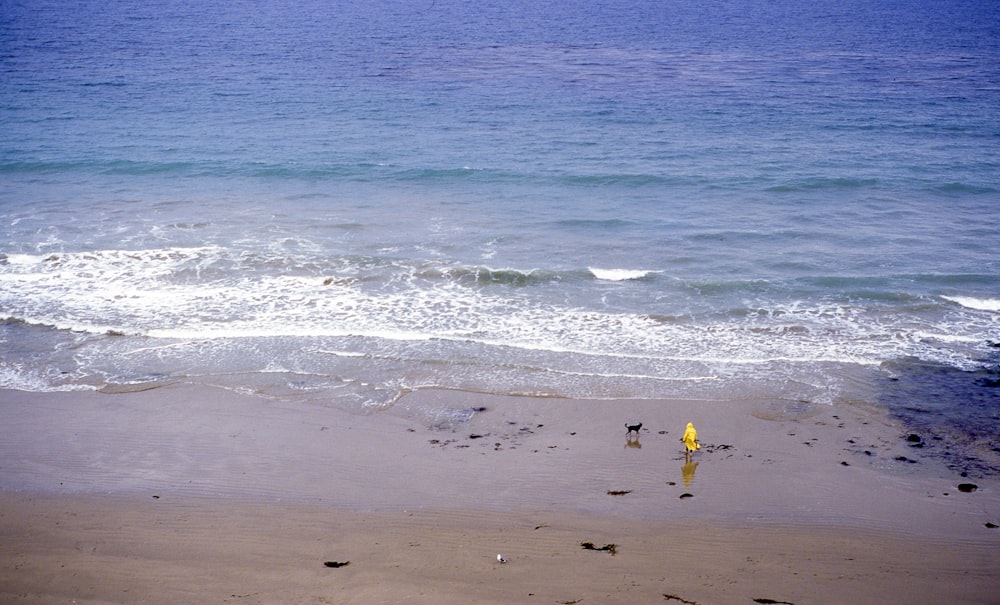 a yellow fire hydrant sitting on top of a sandy beach