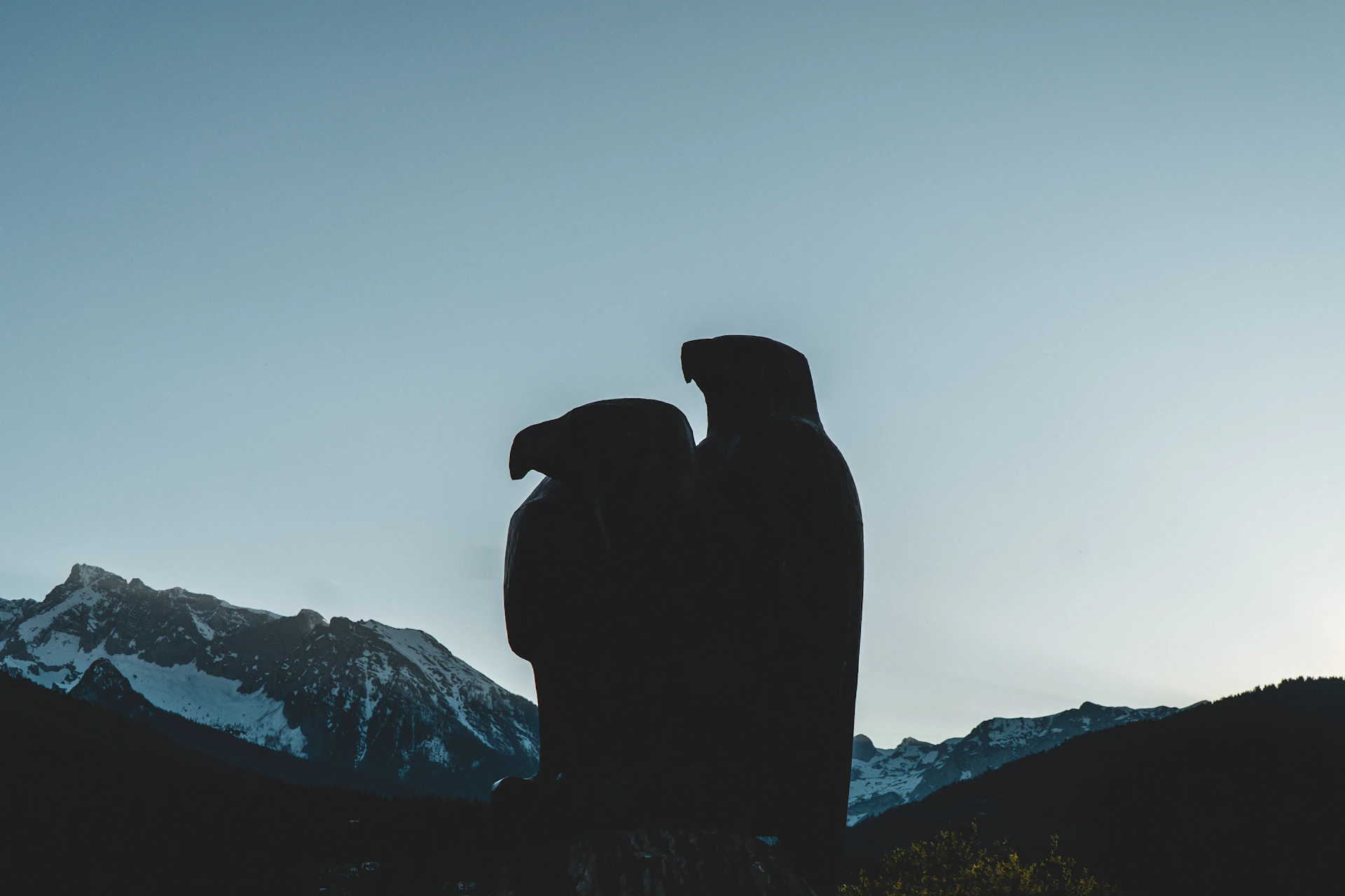 a couple of large birds standing next to each other