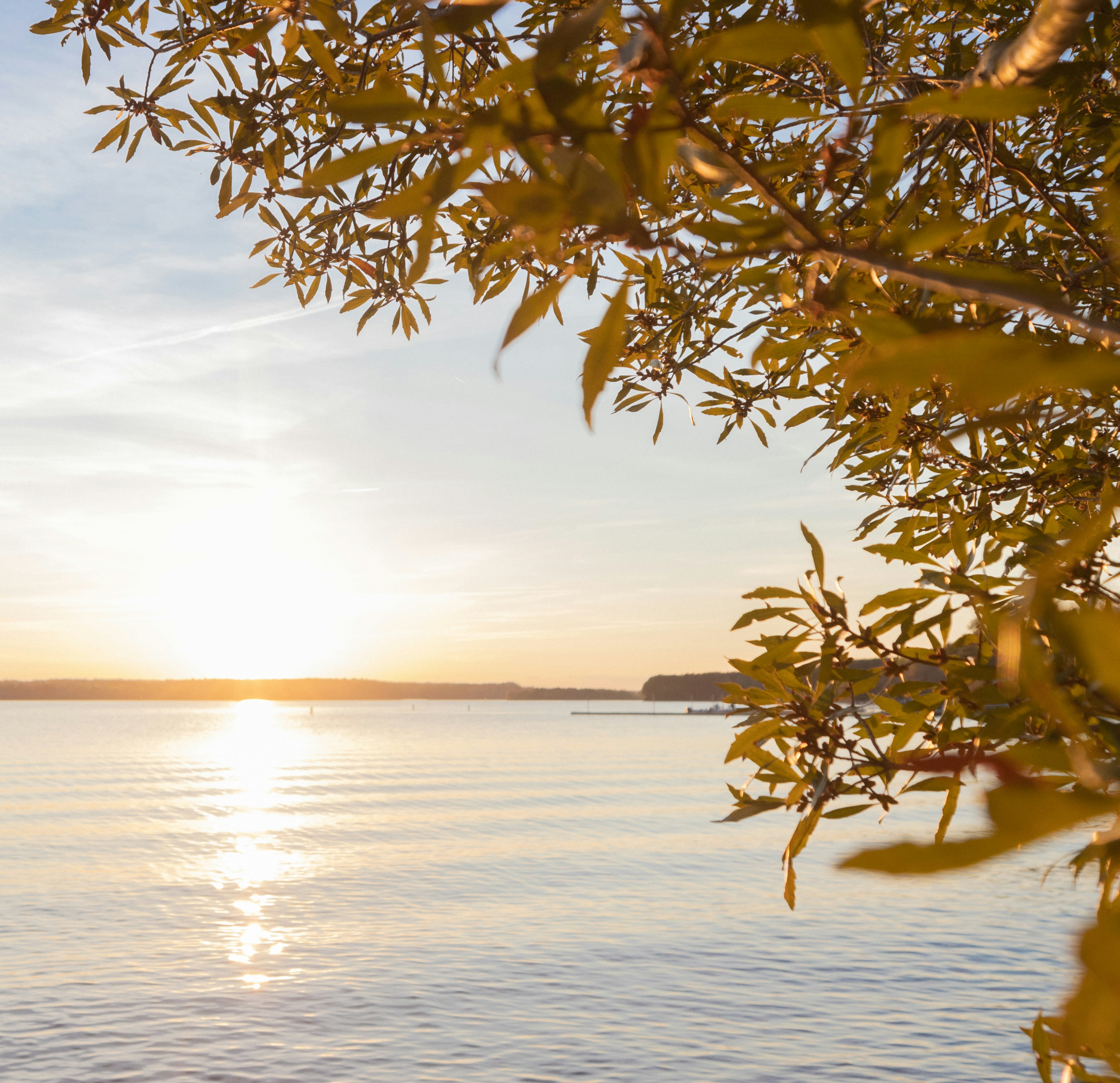 Photo by timklingler