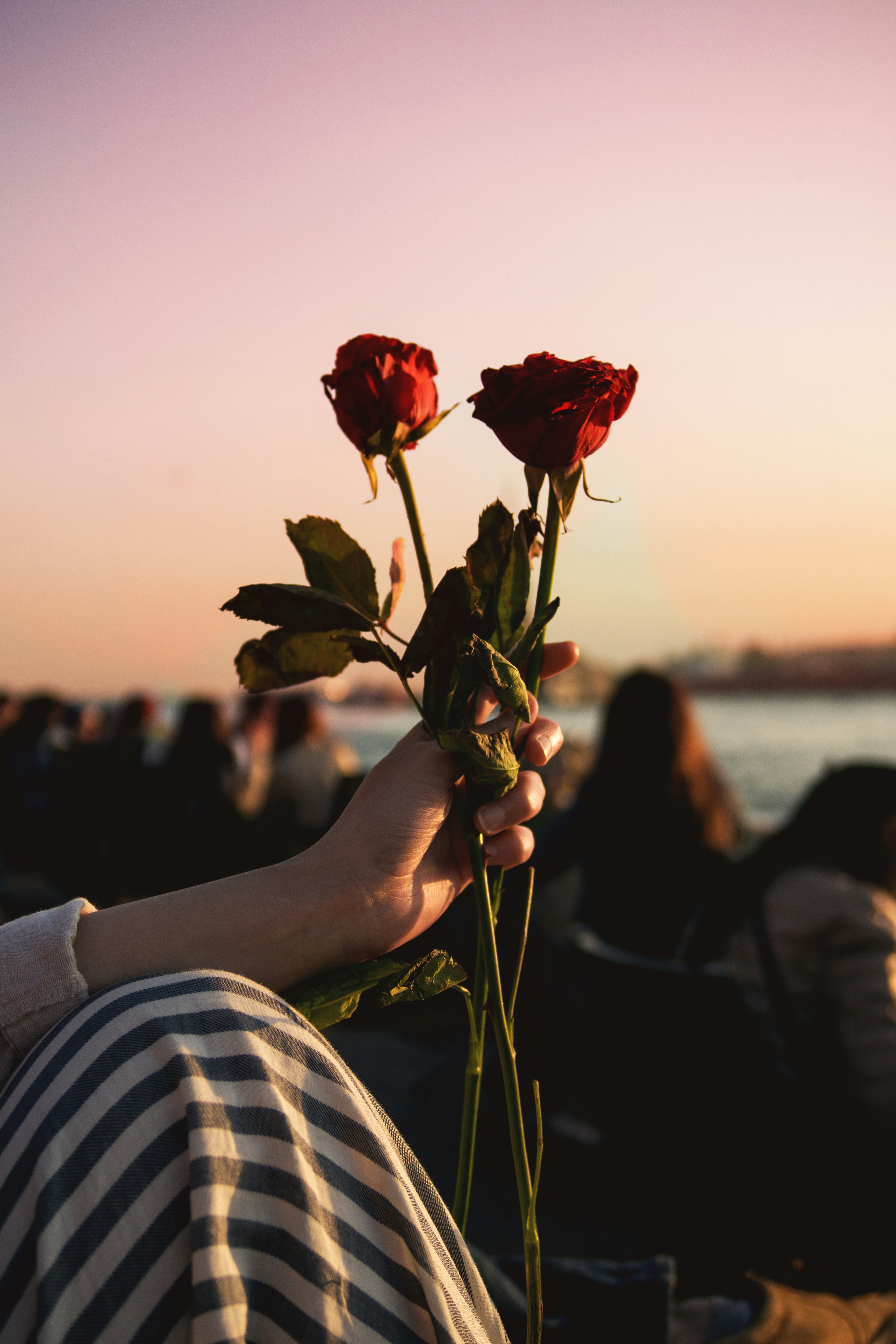 Safety Nets and Velvet Ropes: The Unsung Romance of Safety Features