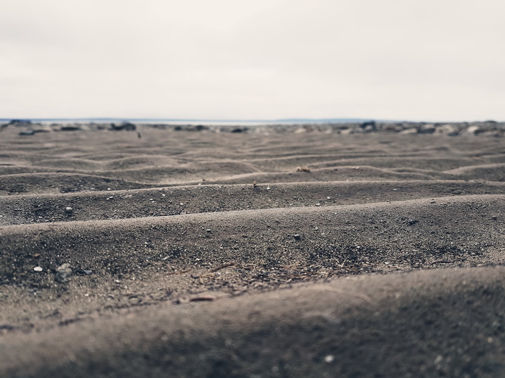 a sandy beach covered in lots of sand