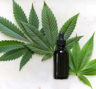 green cannabis leaves and black glass drops bottle