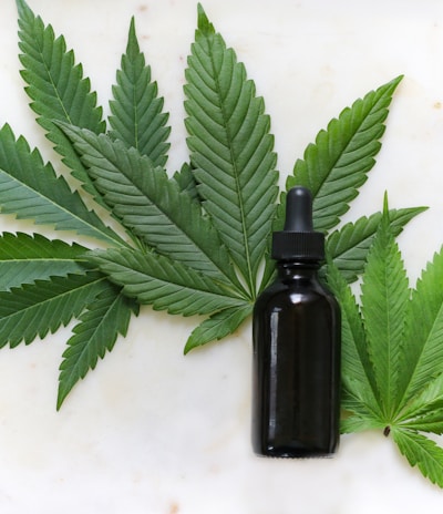 green cannabis leaves and black glass drops bottle