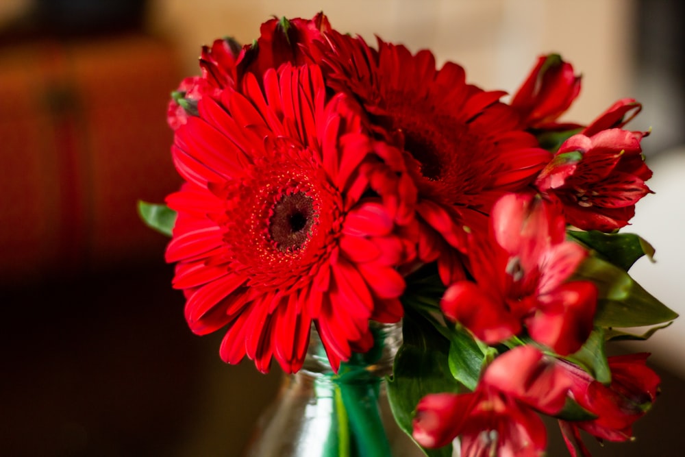 red flowers