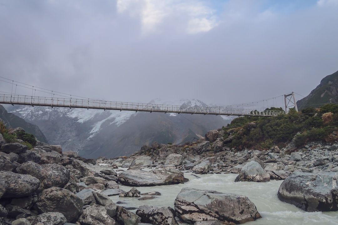 photography of suspension bridge during daytime