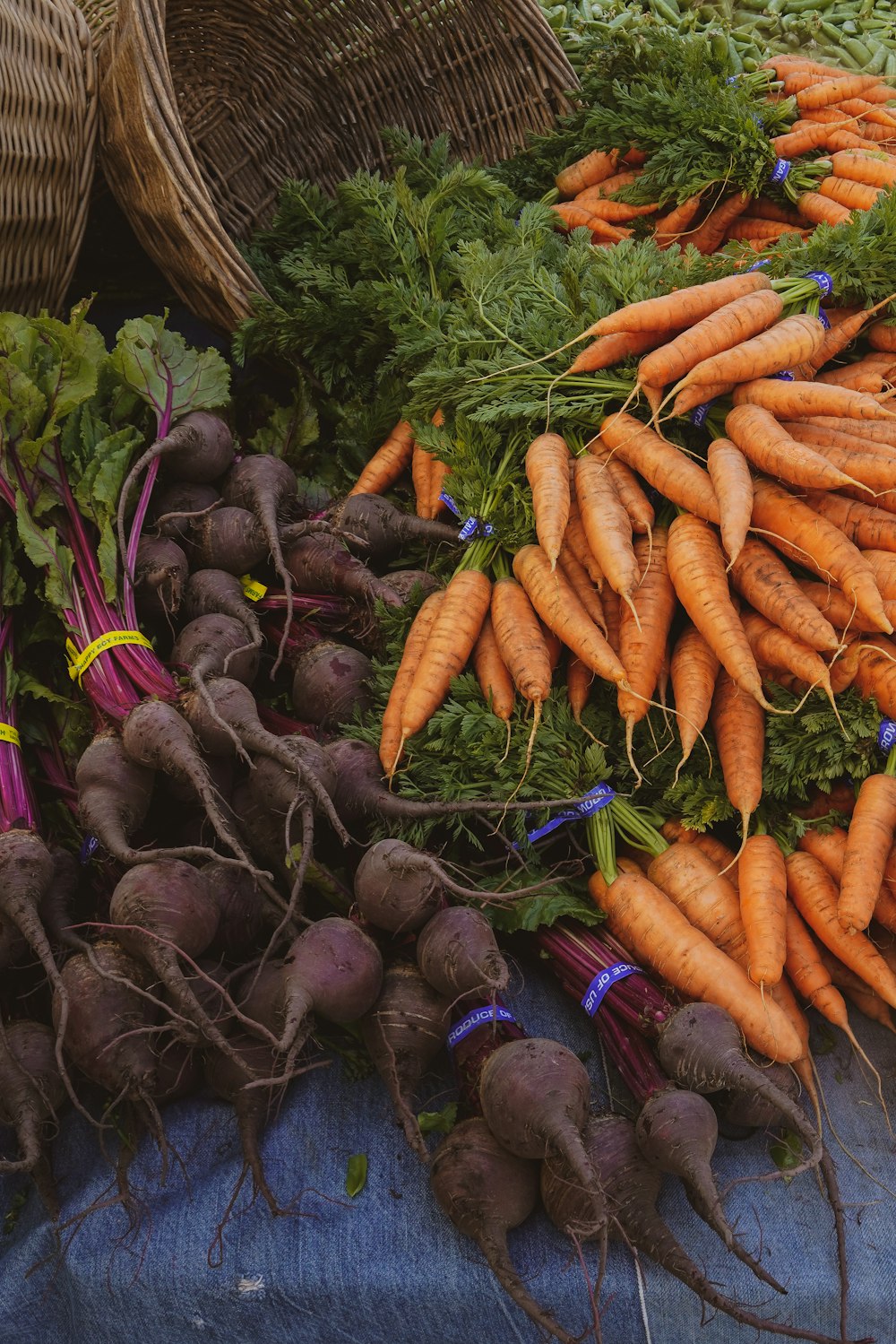 orange carrots lot