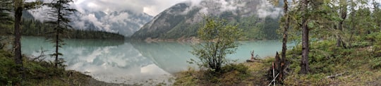 body of water near trees in Berg Lake Trail Canada