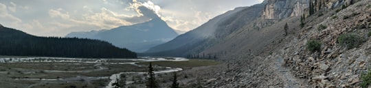 mountain at daytime in Berg Lake Trail Canada