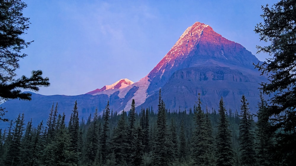 photography of brown mountain during daytime