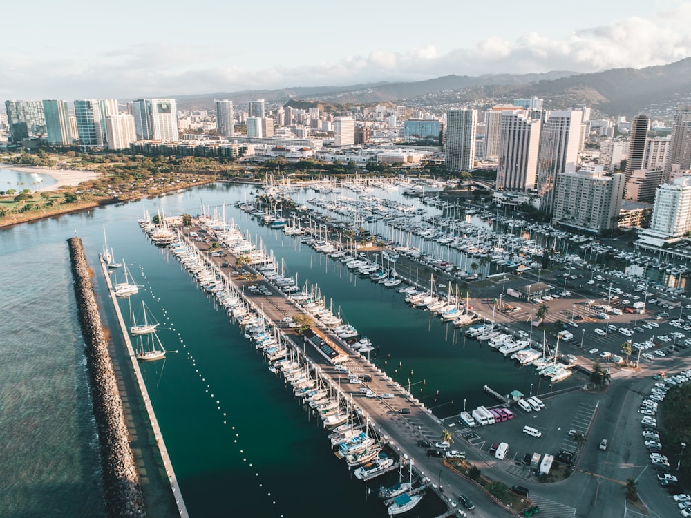 aerial photography of boats on dock during daytime