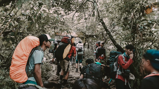 A lively group of young travelers hiking through a lush Nordic forest under soft sunlight.