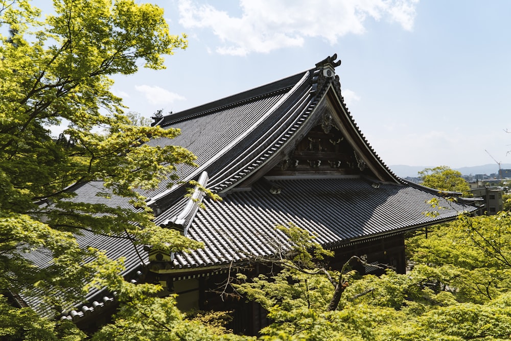 temple among trees