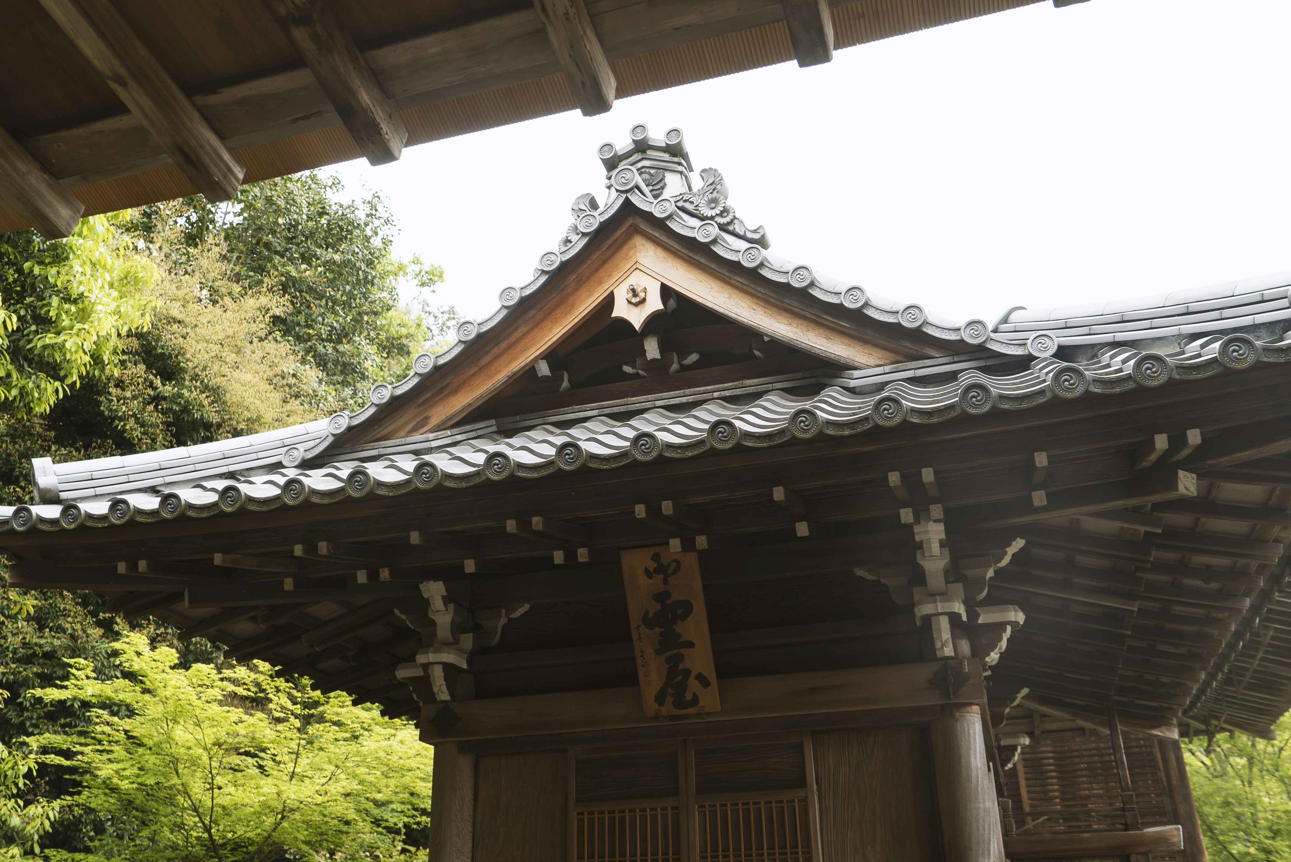 Photo by davidemrich