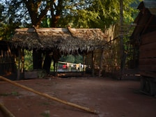 brown hut