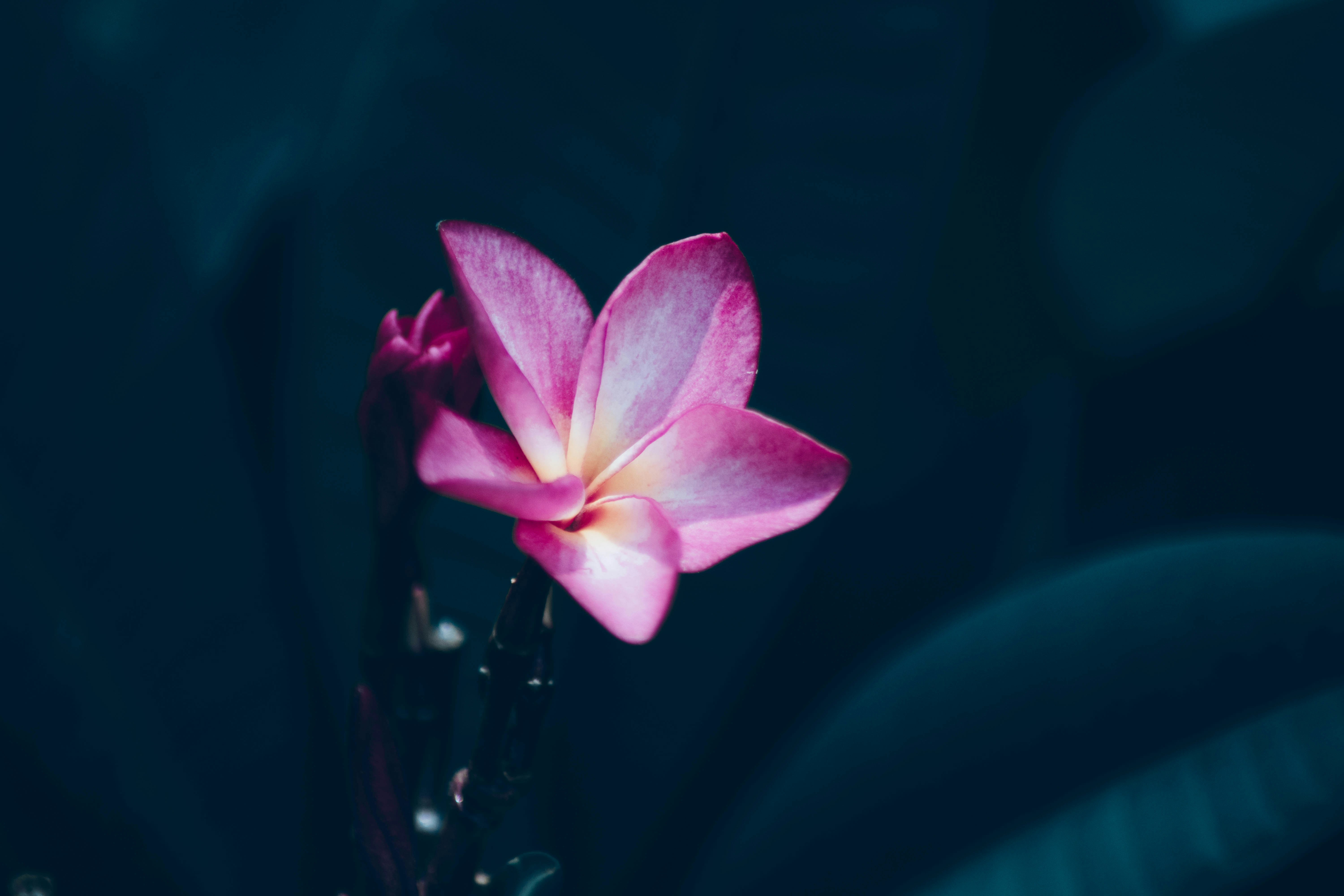 Photo by iamprakasam