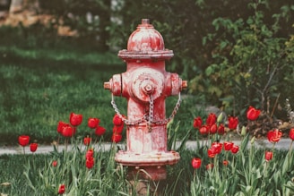 red water hydrant