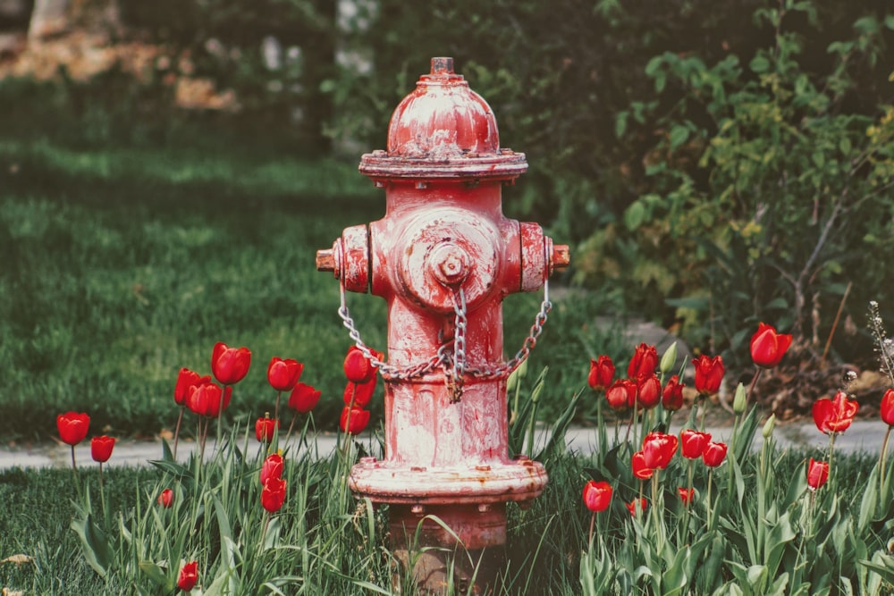red water hydrant