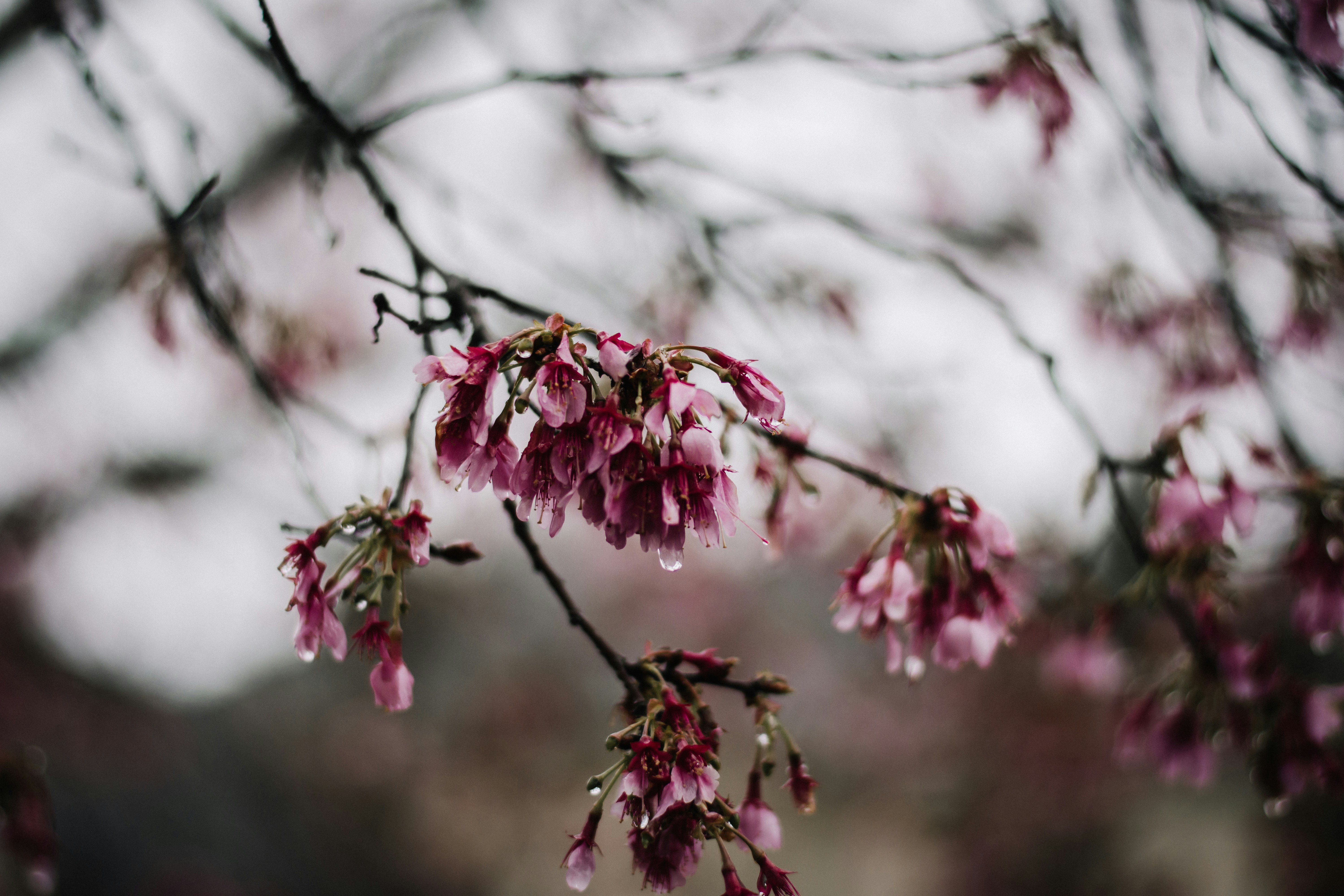 Photo by brittaniburns