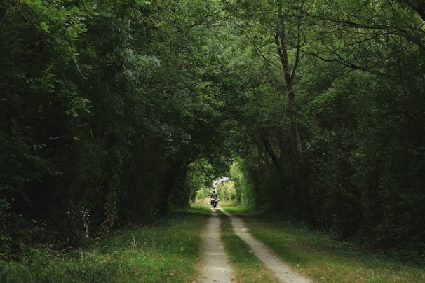 Albert Gimeno guiding a cyclist through a narrow forest path surrounded by tall trees.
