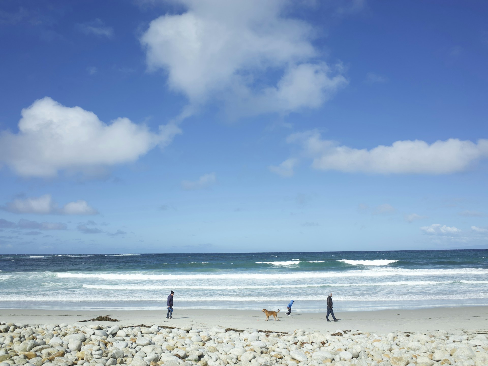 people near ocean