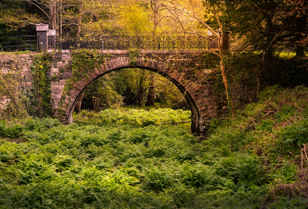 brown concrete bridge besides green plants during daytime