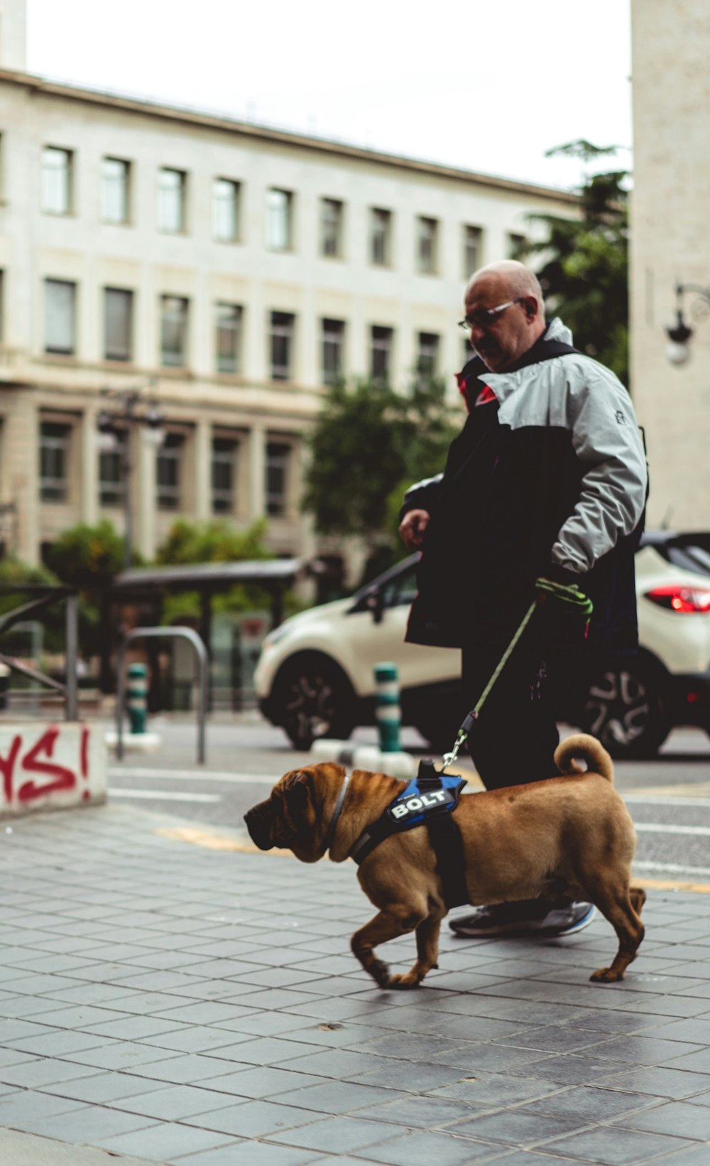 man walking beside dog