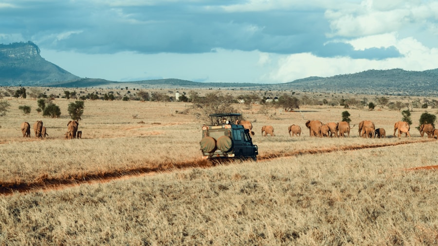 African farm landscape
