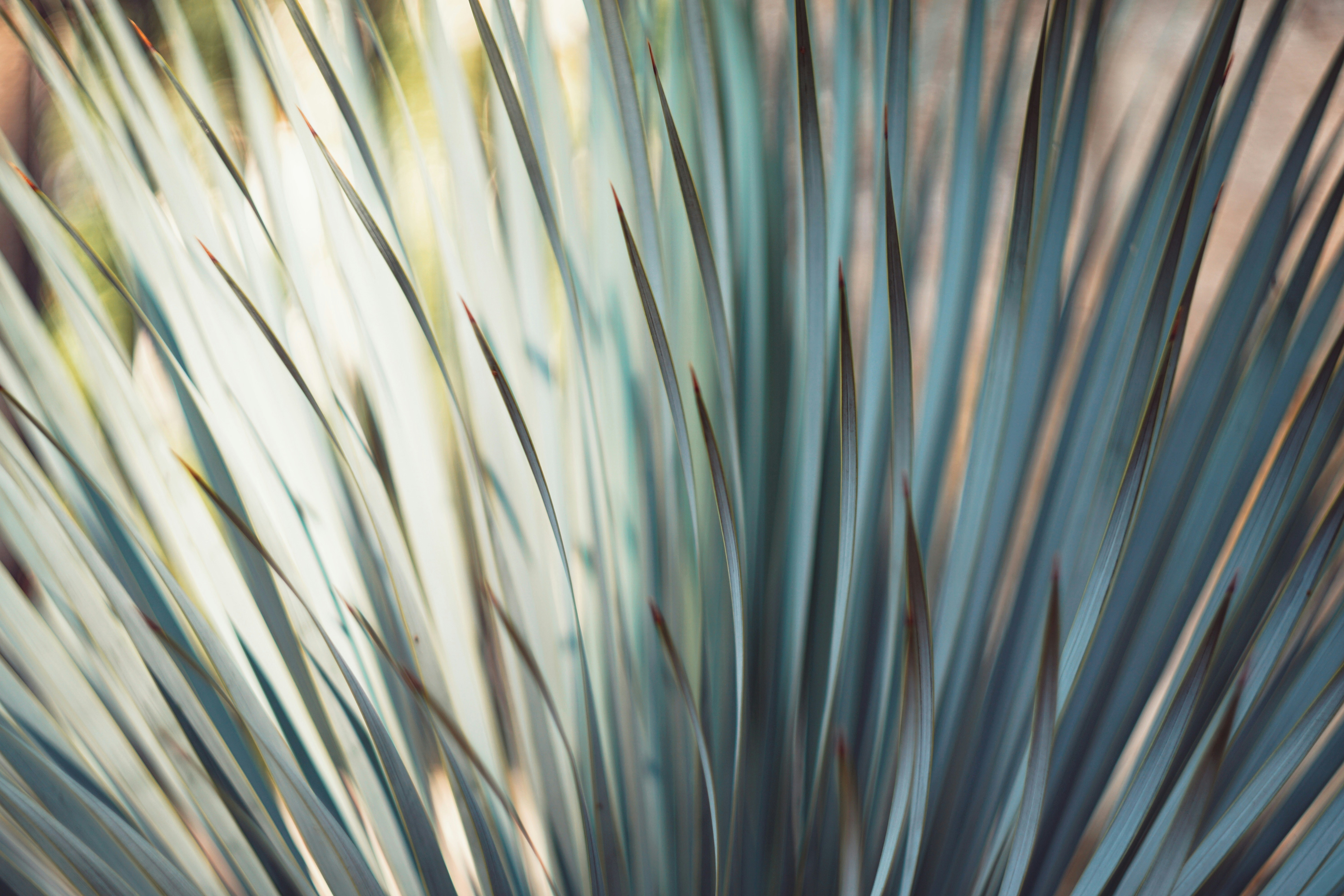 Photo by saturday_sun