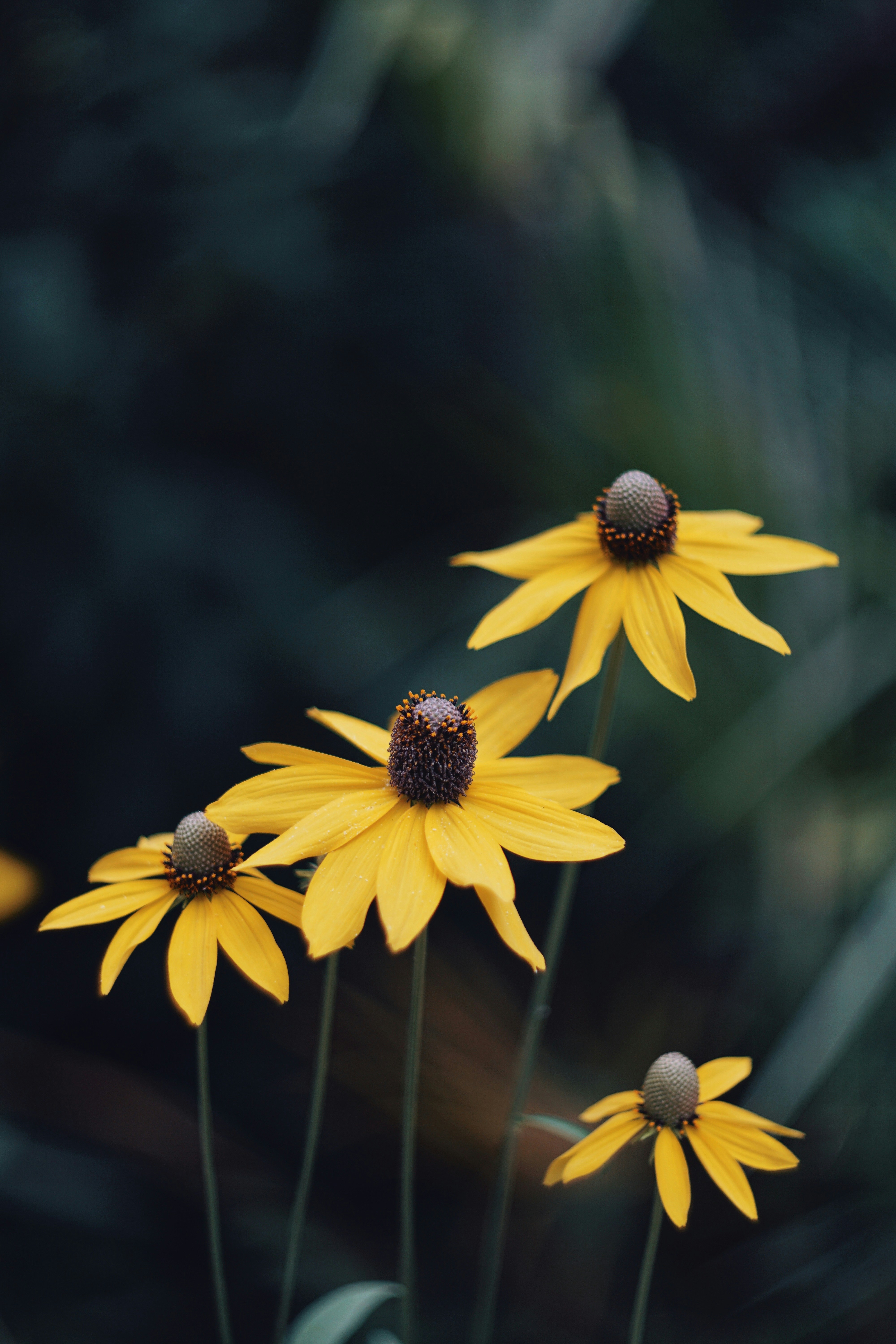 Photo by saturday_sun