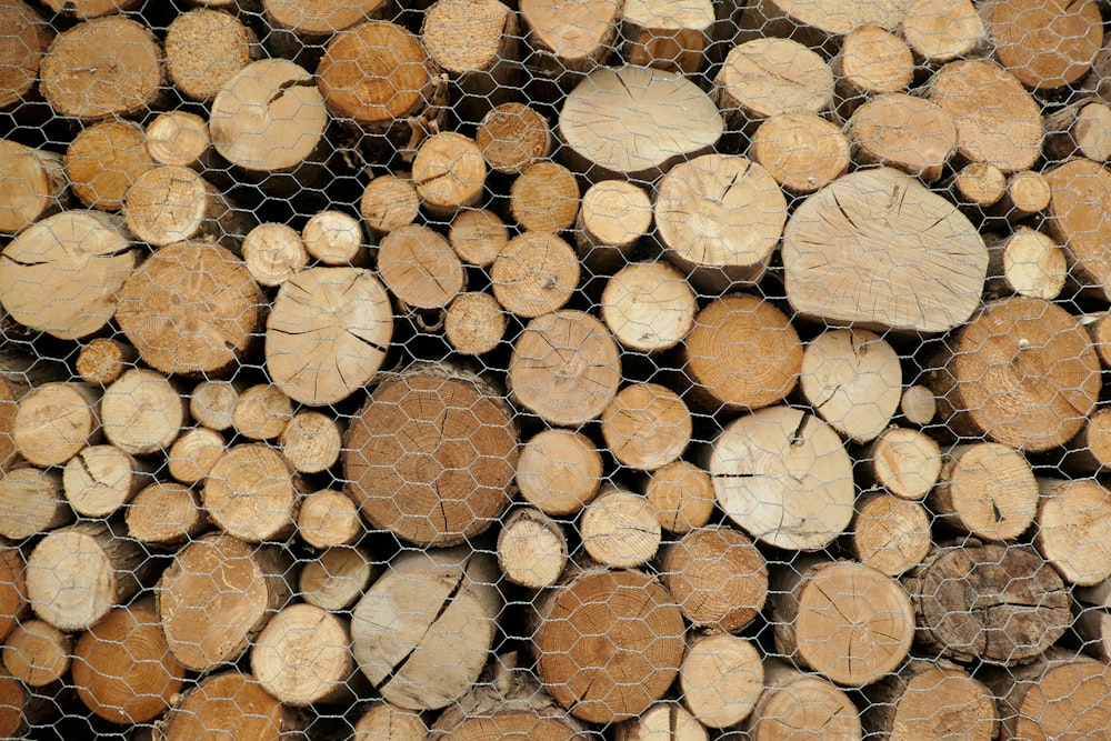 brown wood logs