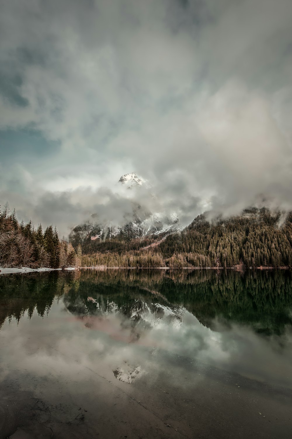 snow covered mountain near green-leafed trees and body of water