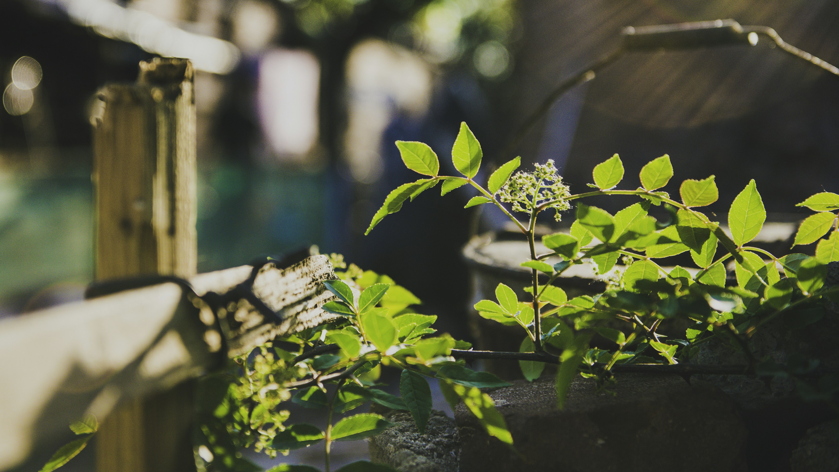 Photo by peek_a_boo_who