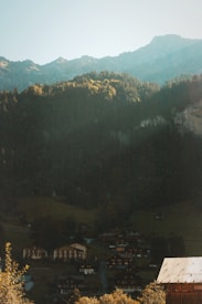 A picturesque village nestled in a valley is surrounded by dense, forested mountains. Sunlight lightly illuminates the tops of the trees and the mountain peaks, creating a serene contrast with the darker lower landscape. The village houses have a quaint, rustic charm with wooden structures and tin roofs.