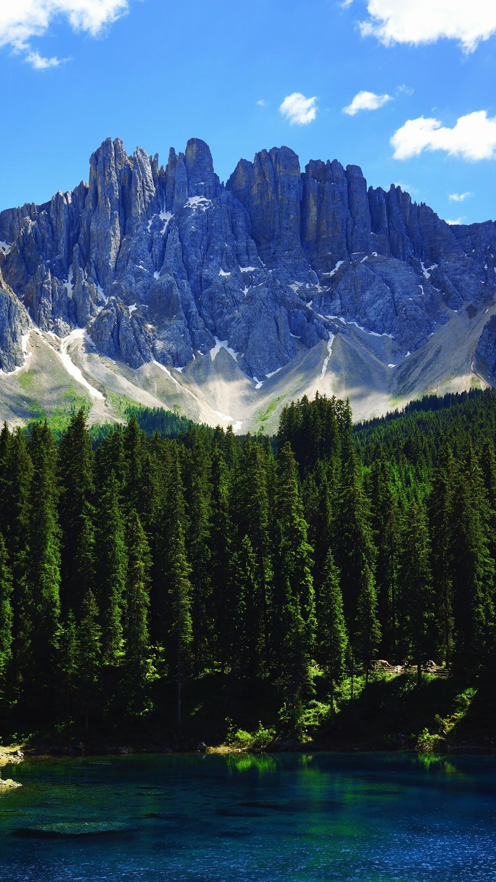 snow covered mountain near green leafed pine trees