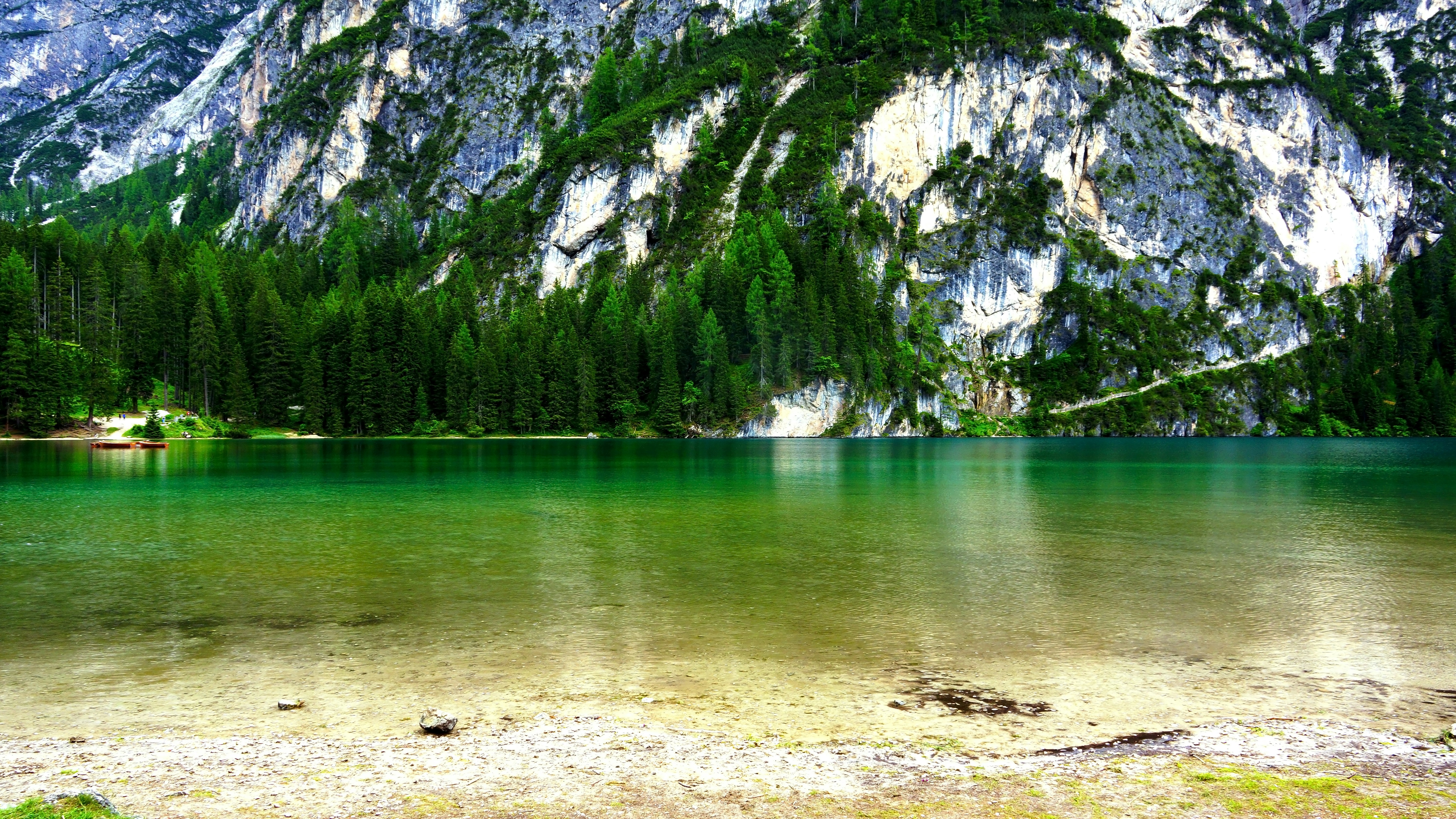 body of water near trees and mountain