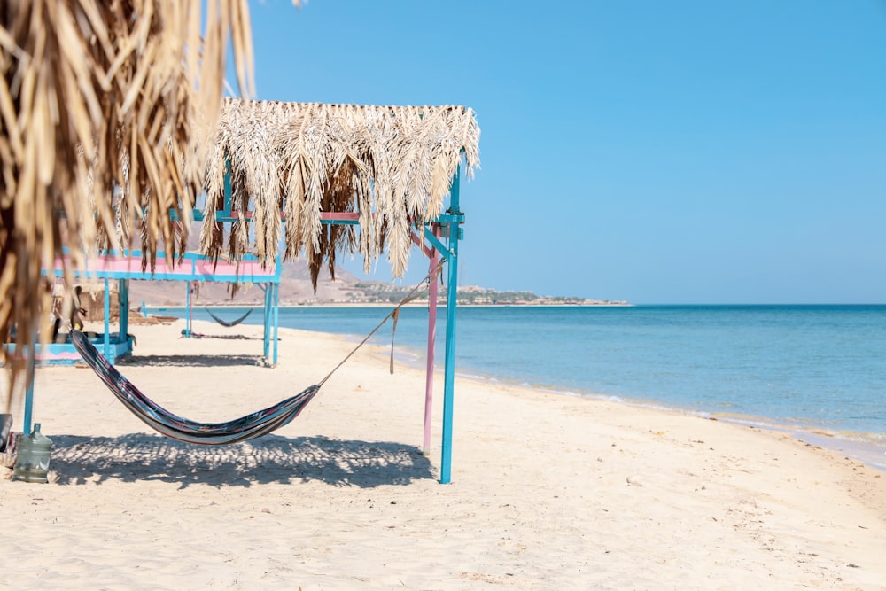 blue and black hammock