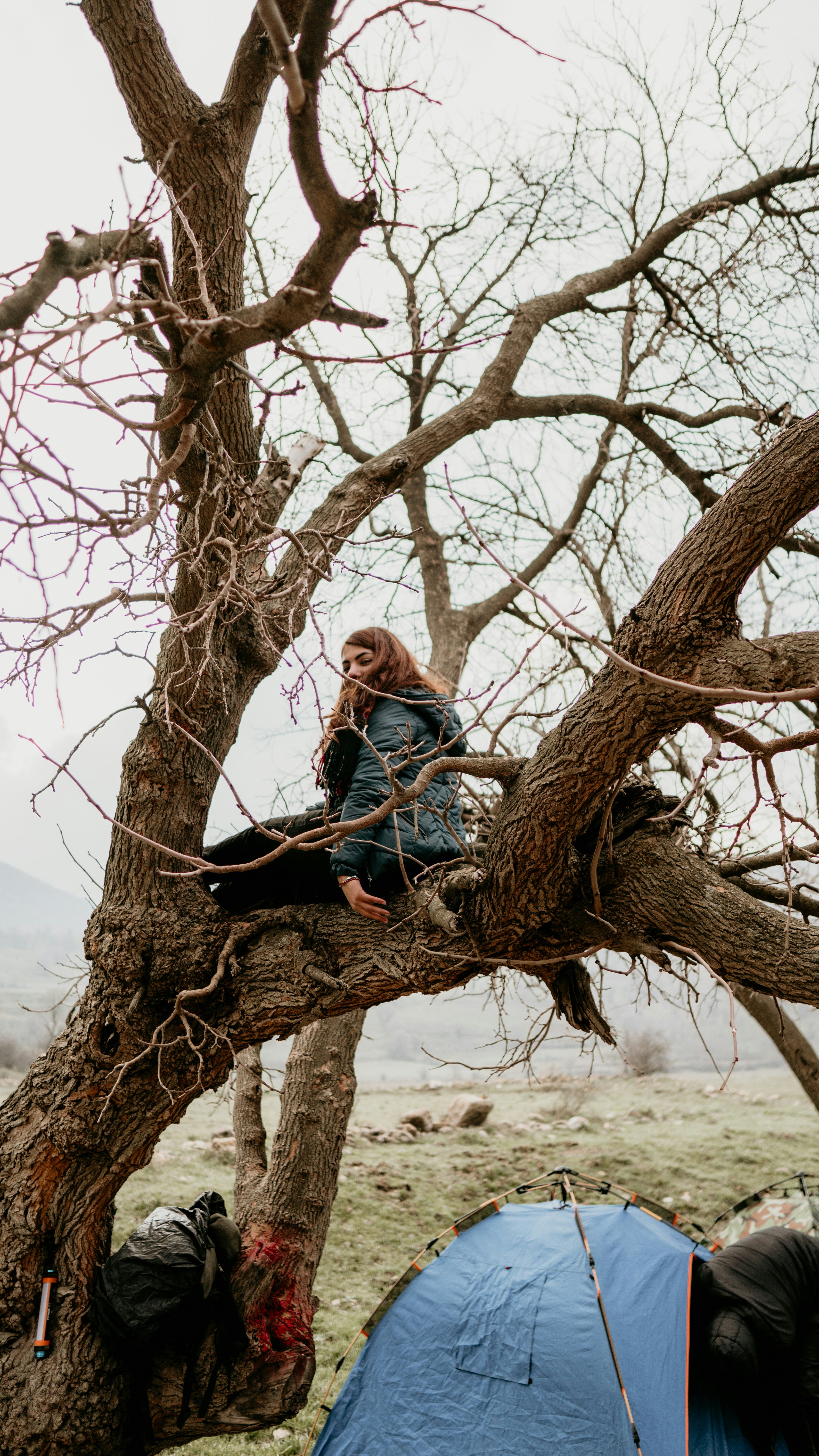 woman sitting on tree